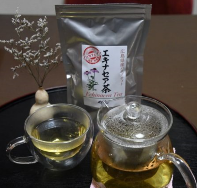 エキナセア茶